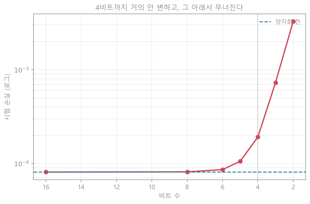 비트 vs 손실