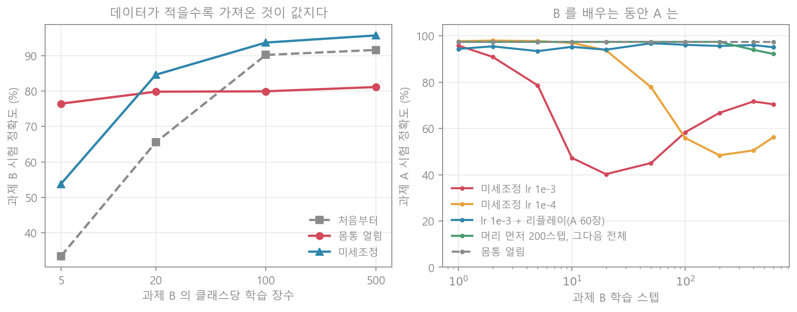 전이 학습과 망각